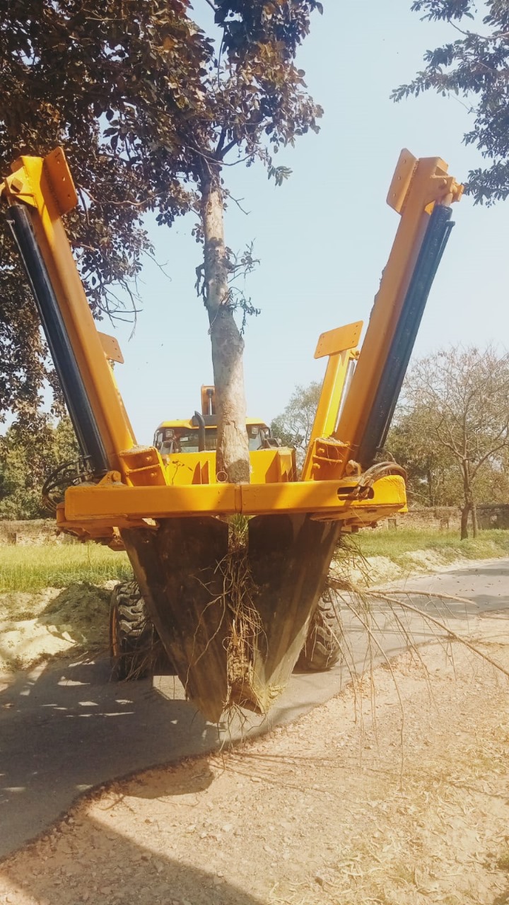 Tree Translocation